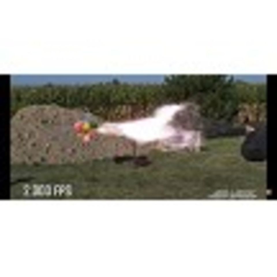 Image 3 - Phoenix Rising Super Dragon 12