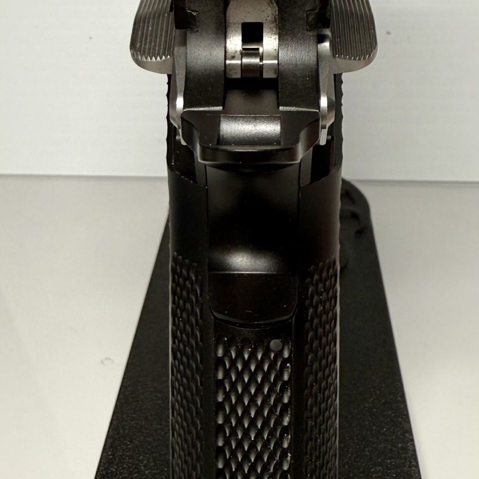 Image 5 - Custom Springfield progidy