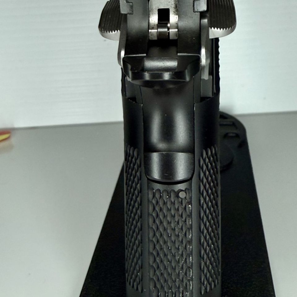 Image 4 - Custom Springfield progidy