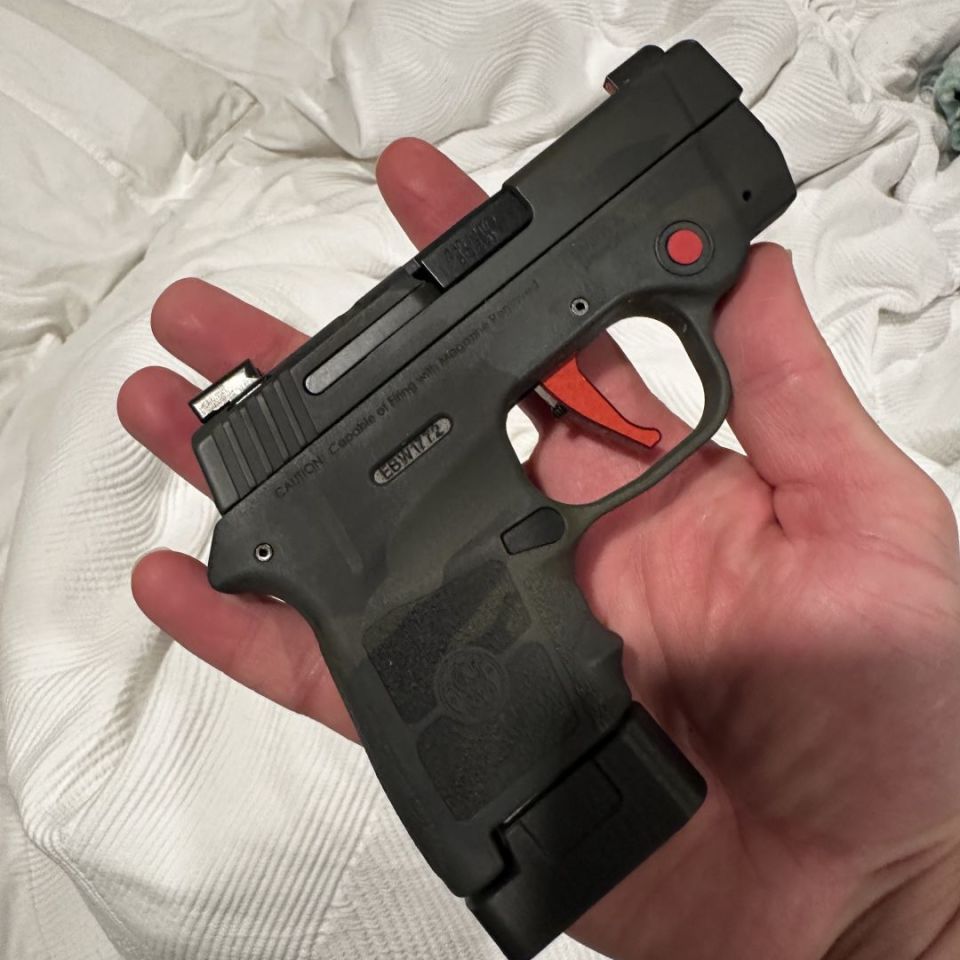 Image 1 - SW bodyguard 380