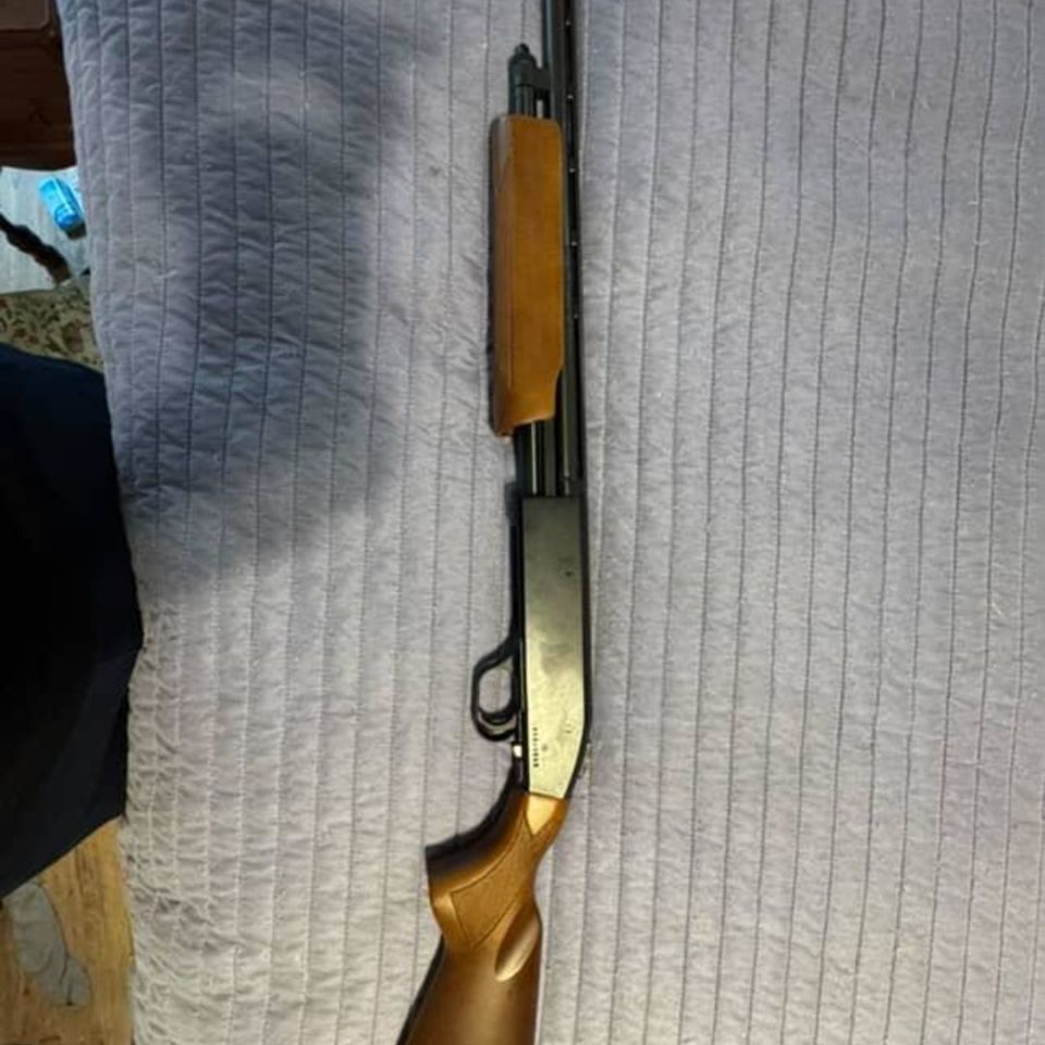 Image 3 - Long guns,.22, 20ga, .410pump