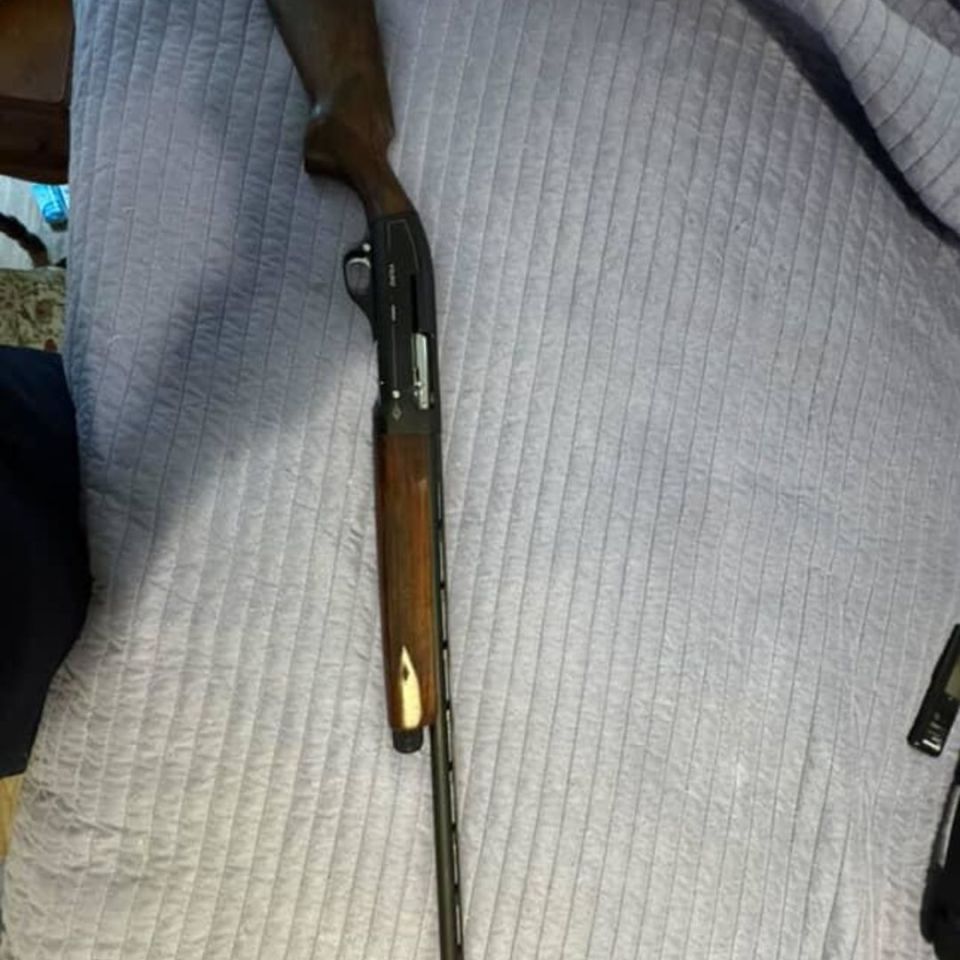 Image 5 - Long guns,.22, 20ga, .410pump