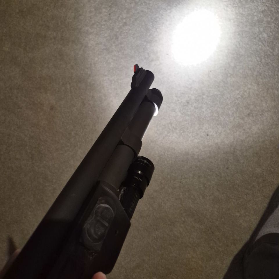 Image 3 - Mossberg 590