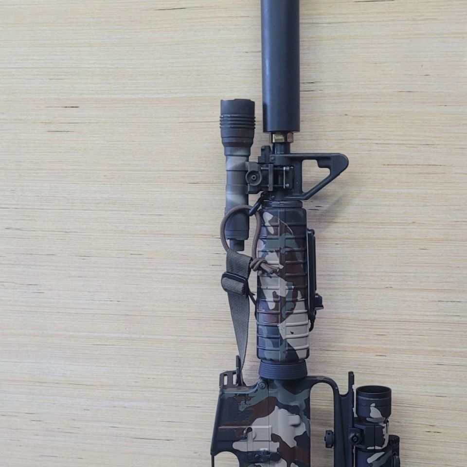 Image 1 - M81 Gordy ish build. 