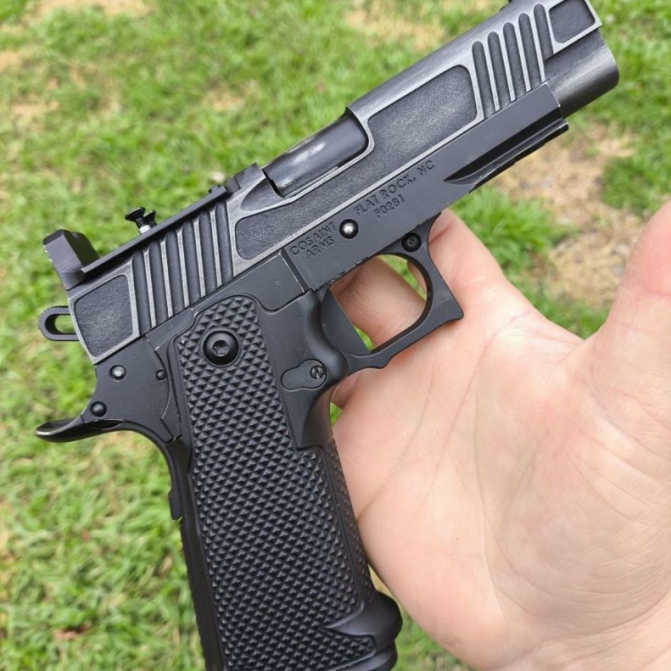 Image 2 - Cosaint Cos-21 2011 (4.25) obo