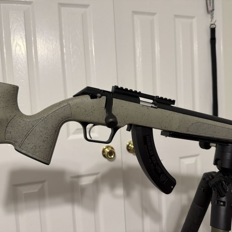 Image 2 - Springfield 2020 22LR