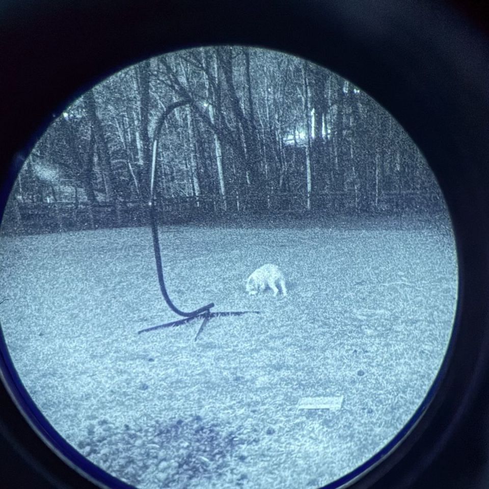 Image 1 - Photonis WP High Gain 