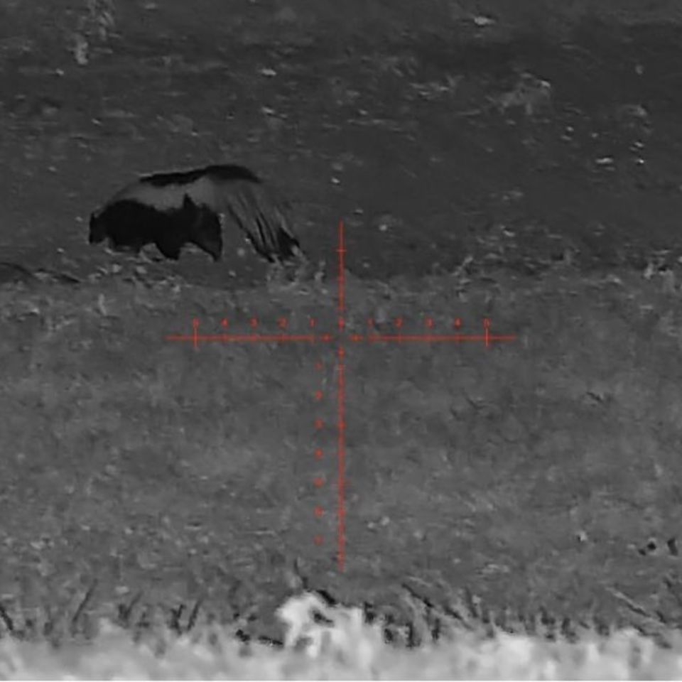 Image 2 - Zulu 5-20 NV Scope w/ LRF