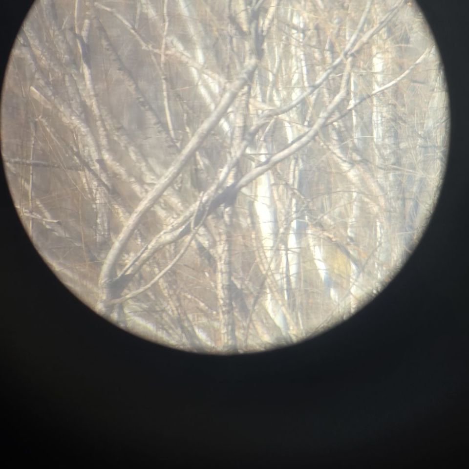 Image 4 - Sightron SpottingScope20-60x85