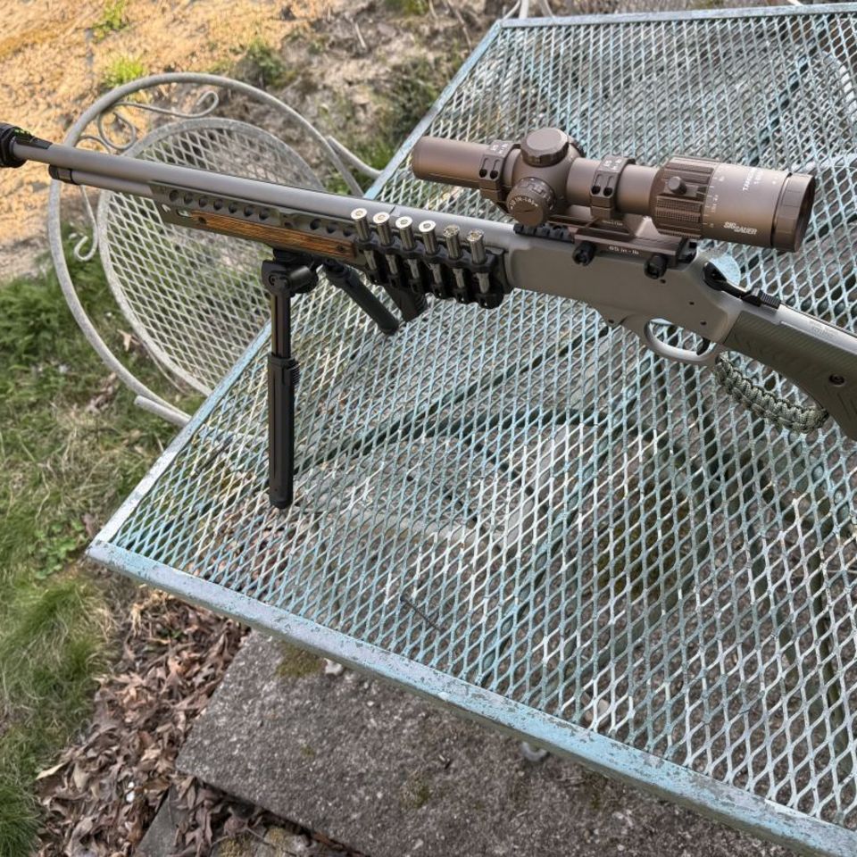 Image 2 - Henry big boy X 