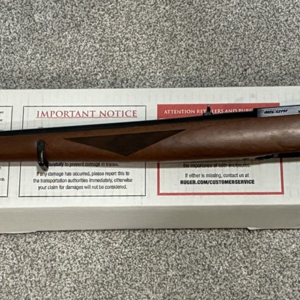Image 5 - Ruger 10/22 International 