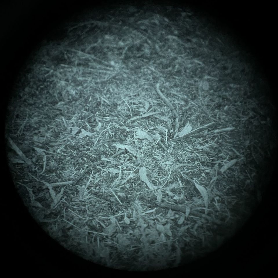 Image 5 - Real Infinity Iris ODG set