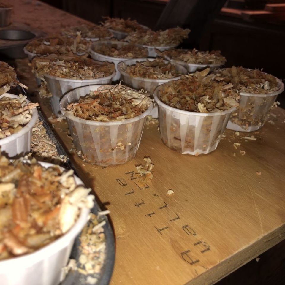 Image 1 - Sawdust Fire Starters  - pk of 6