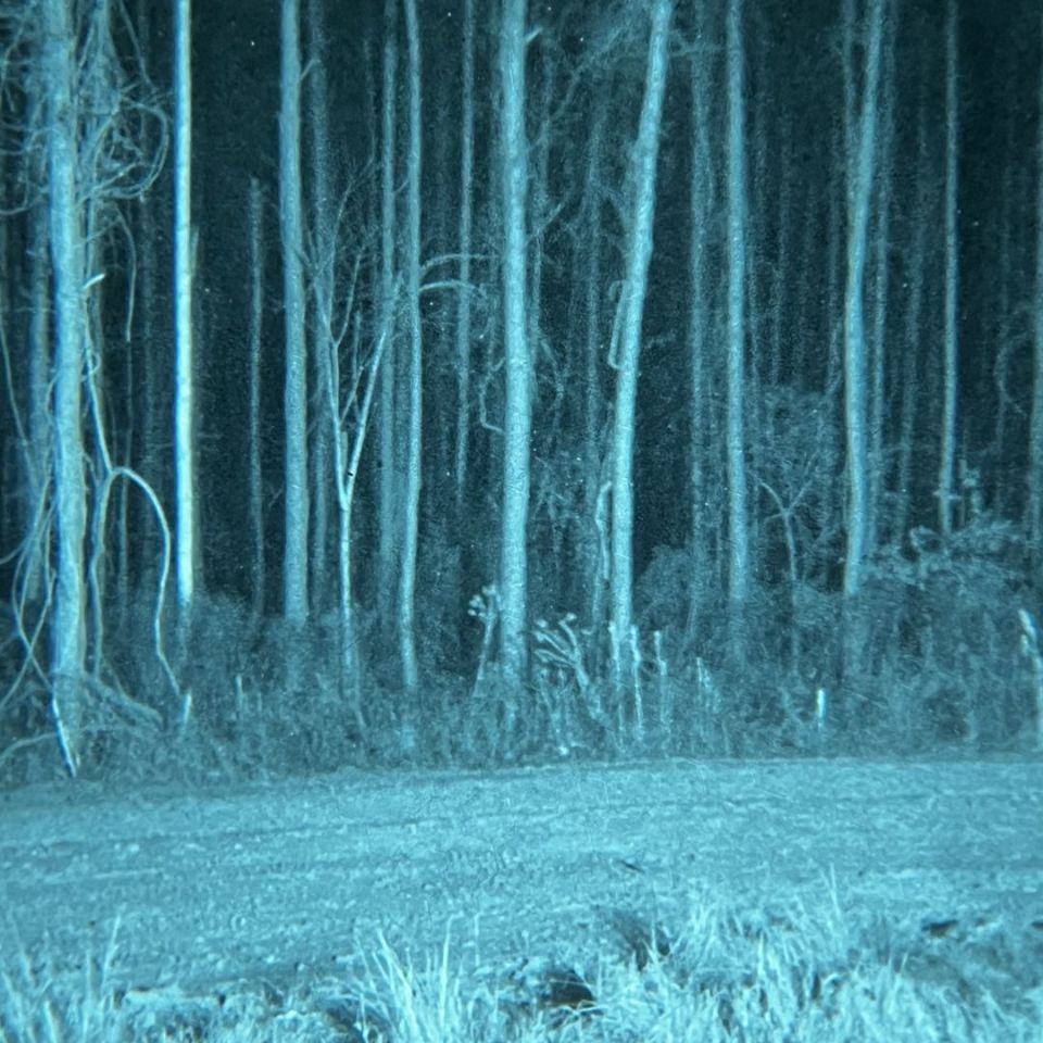 Image 5 - Flirbnvd-51 night vision