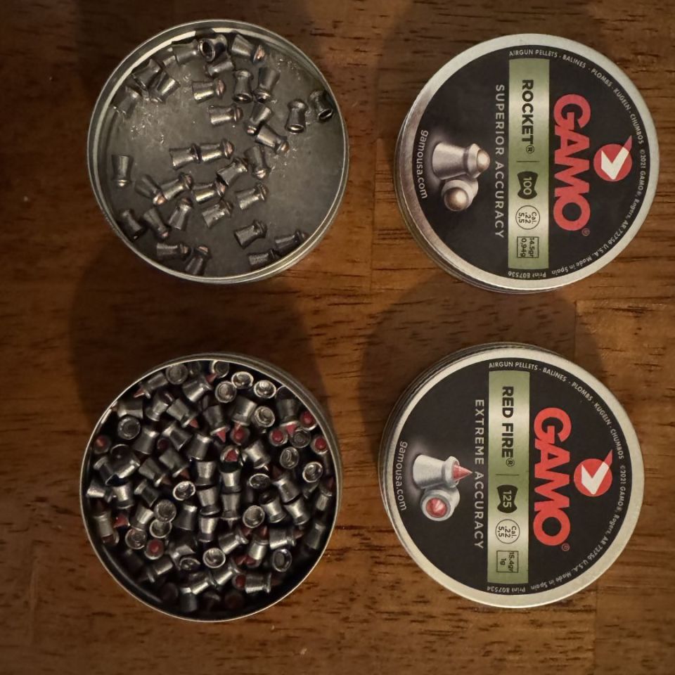 Image 3 - GAMO Swarm Magnum 10X gen3i