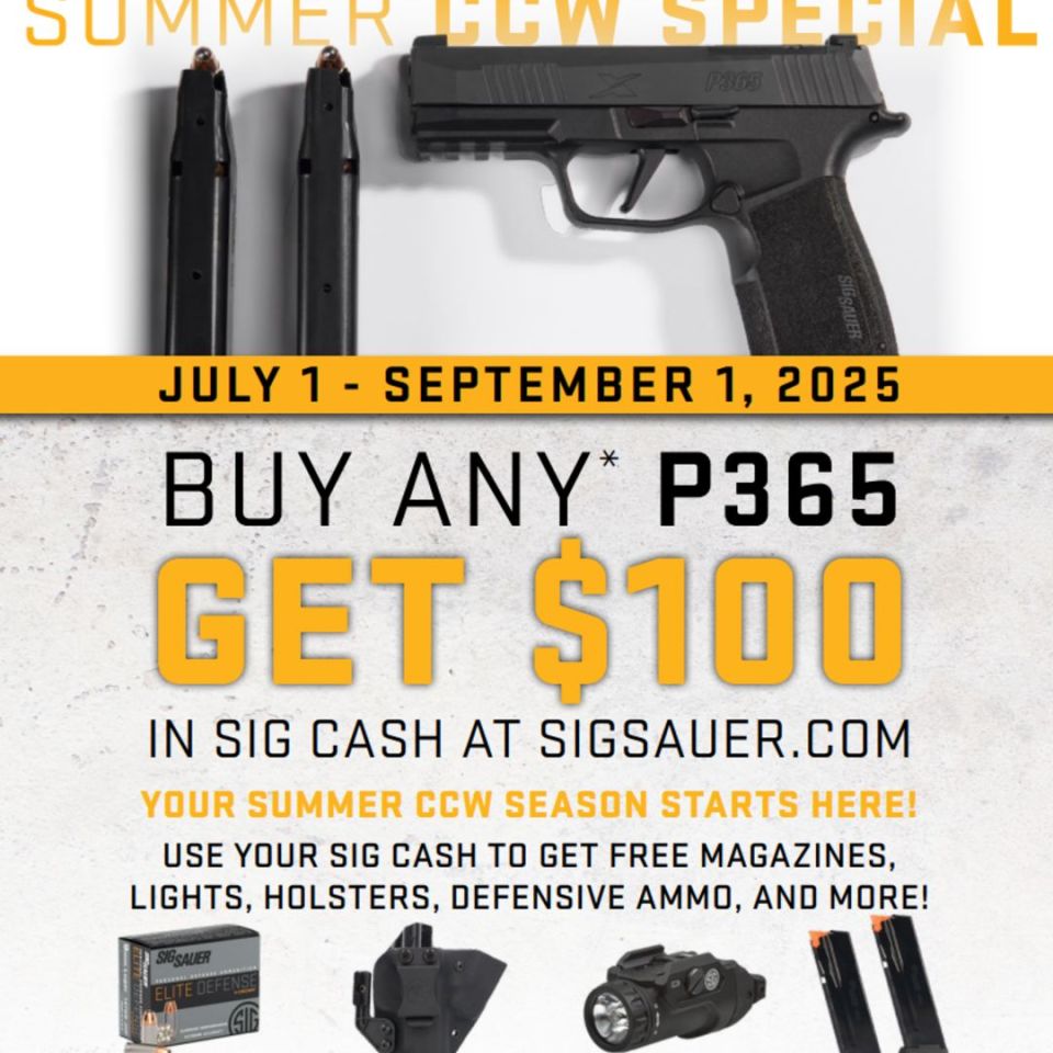 Image 4 - SIG SAUER P365 FUSE 9mm 17/21