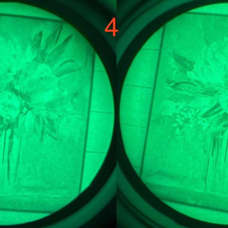 Image 3 - Pvs 7 gen 3 green