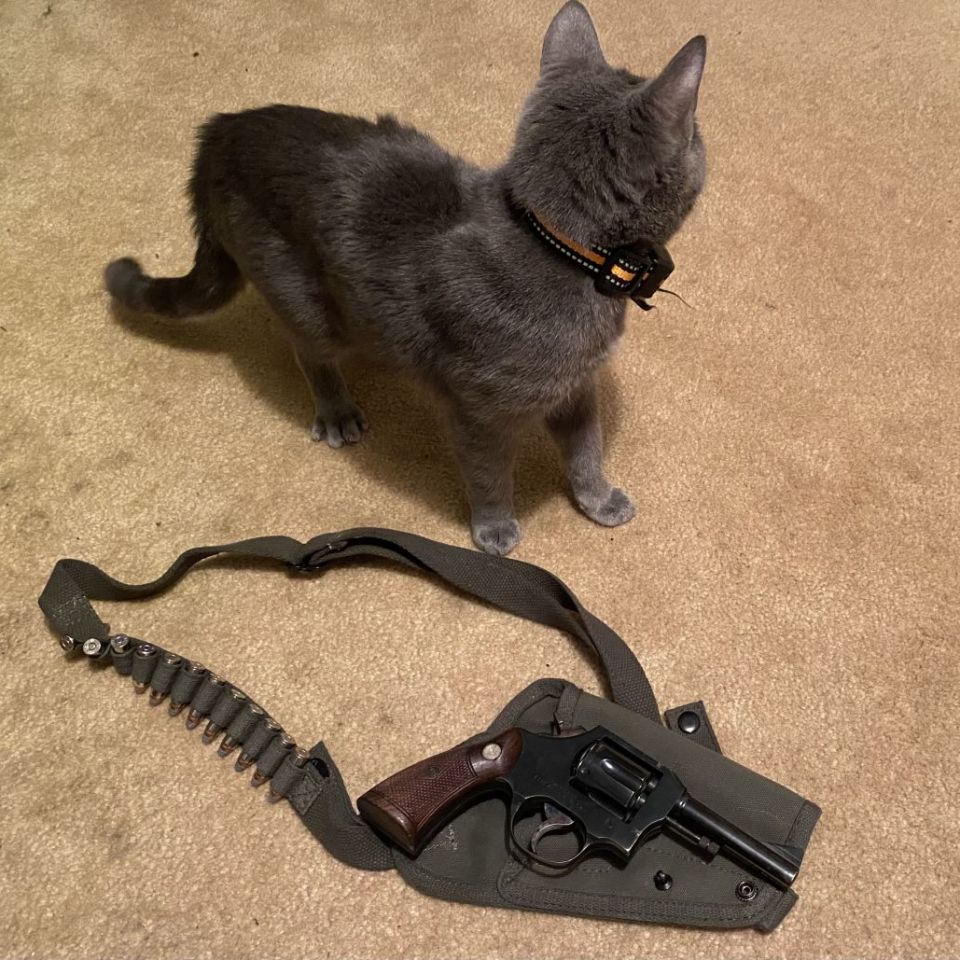 Image 3 - Miroku .38 Spl “Police Special