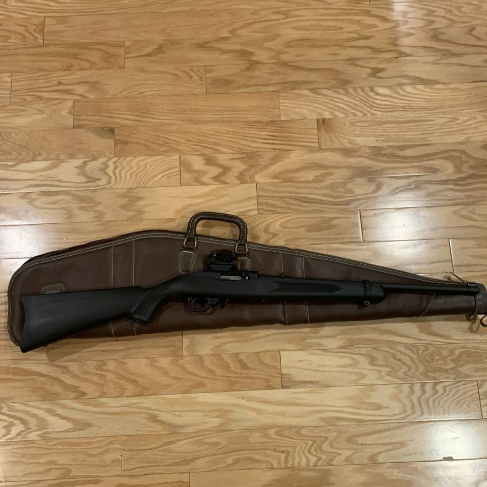 Image 1 - Ruger 10/22