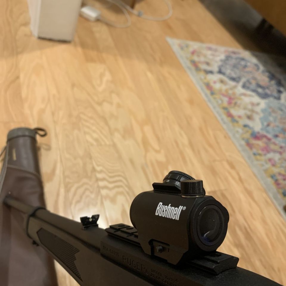 Image 2 - Ruger 10/22