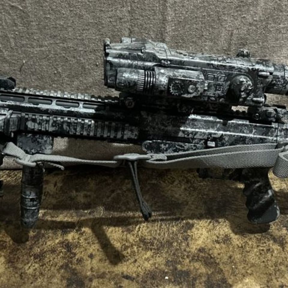 Image 3 - Sig 556R with Pulsar N750 NV 