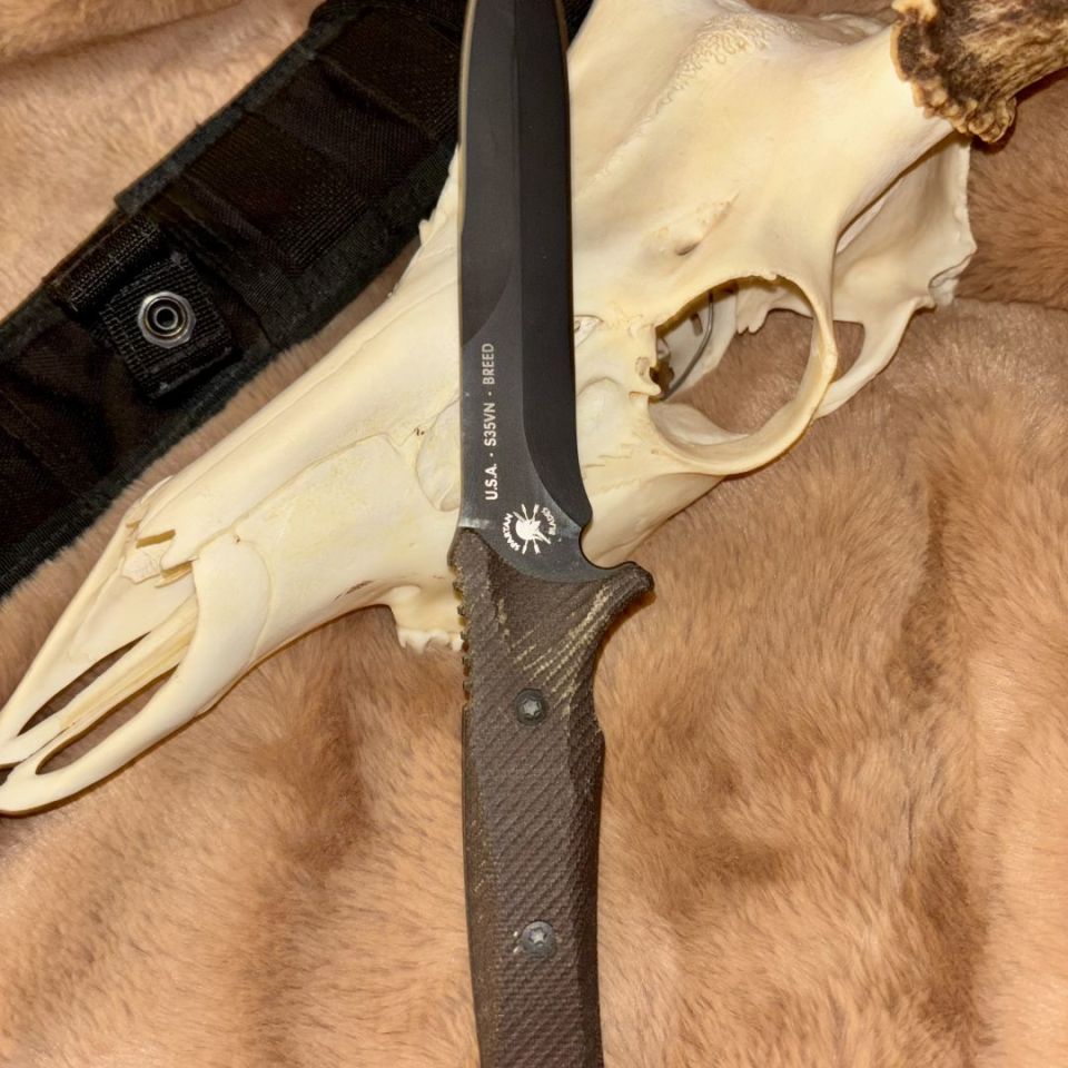 Image 2 - spartan blades breed fighter