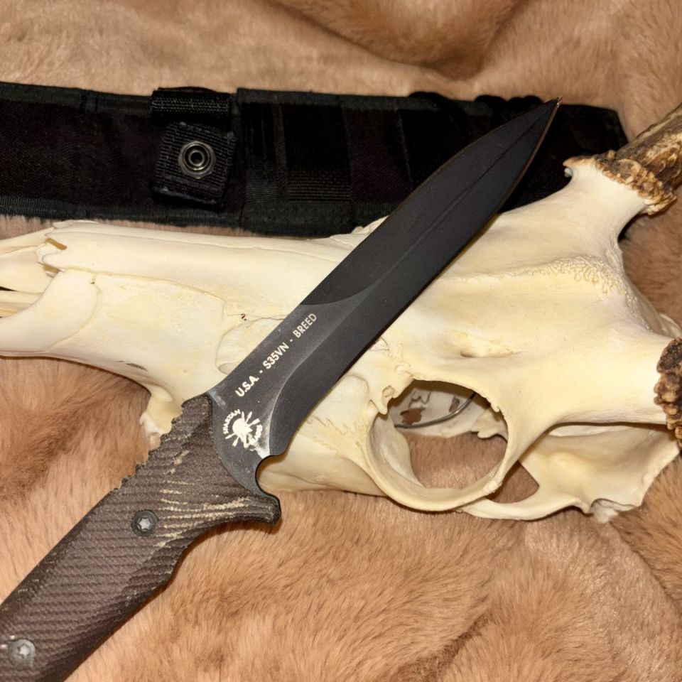 Image 3 - spartan blades breed fighter