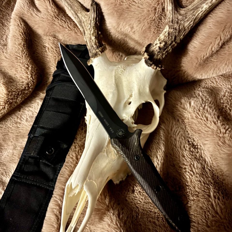 Image 1 - spartan blades breed fighter