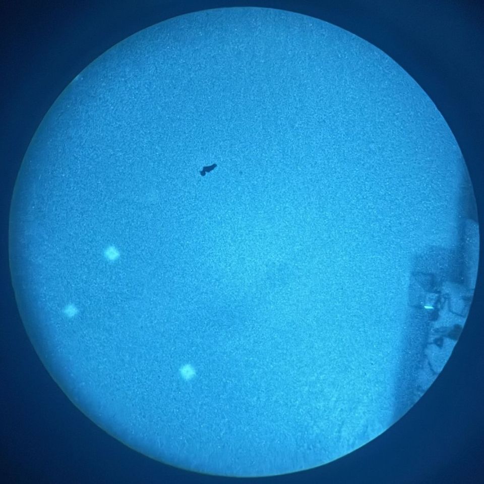 Image 3 - low price high fom white phos 