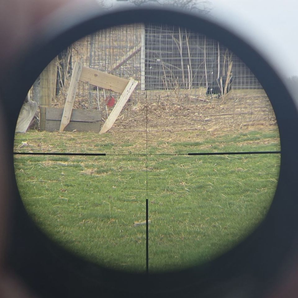 Image 2 - Vortex viper pst 2 