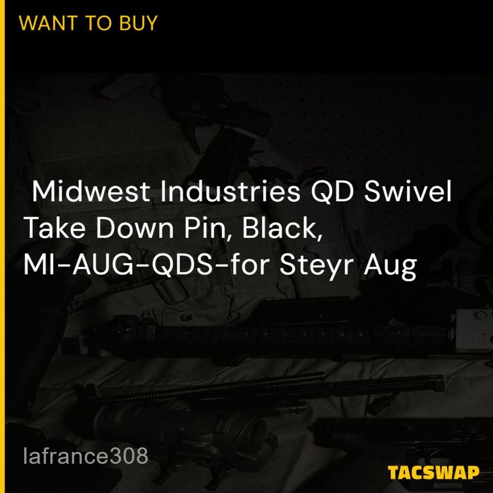 Image 1 -  Steyr Aug, MSAR Take Down Pin