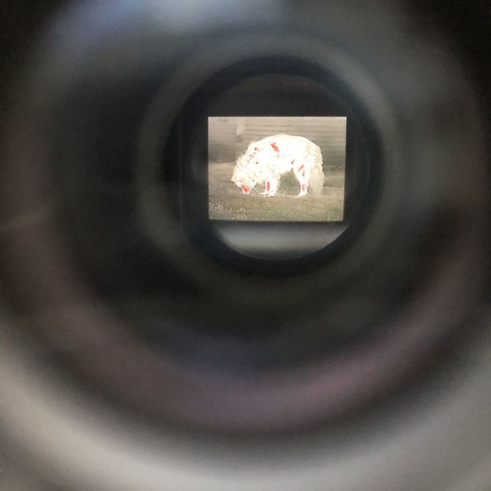 Image 4 - AGM Rattler CV2 35-384 Thermal