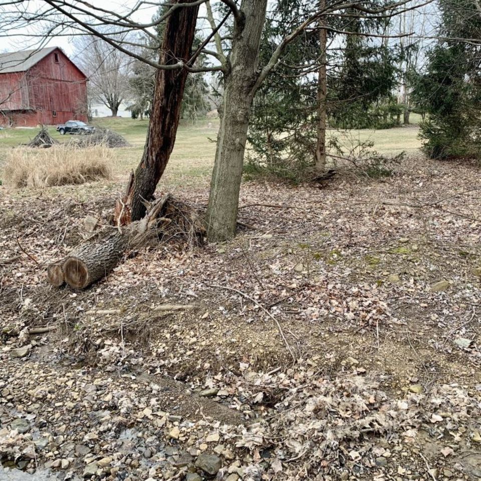 Image 5 - Parashooter Wet Wrx Dagger PC