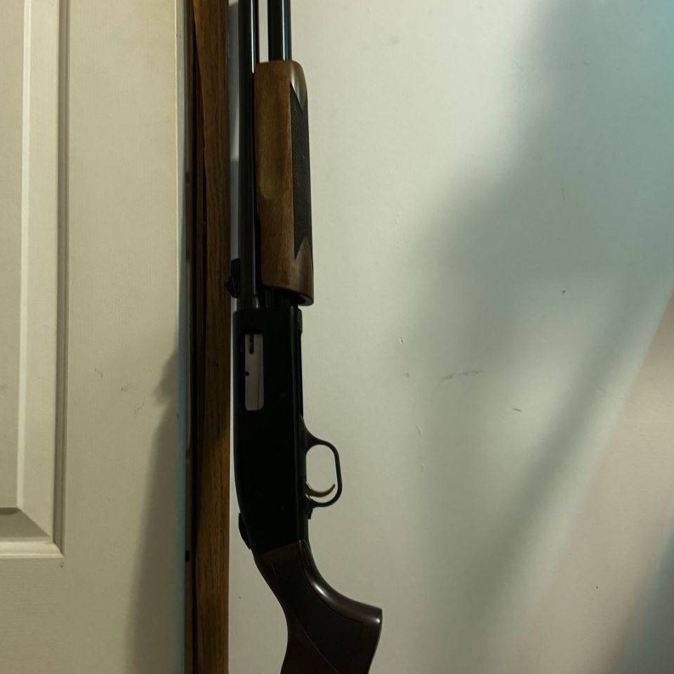 Image 1 - Mossberg 500 20 gauge slug gun