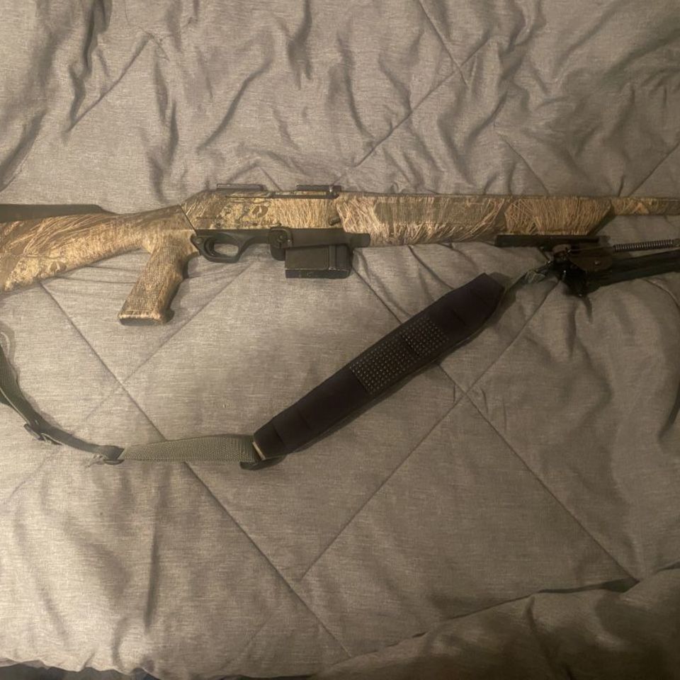 Image 1 - Winchester SX AR