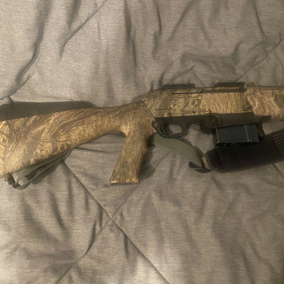 Image 2 - Winchester SX AR