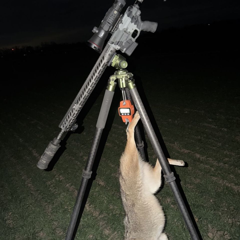 Image 3 - WTB SLR B30 Upper/Lower