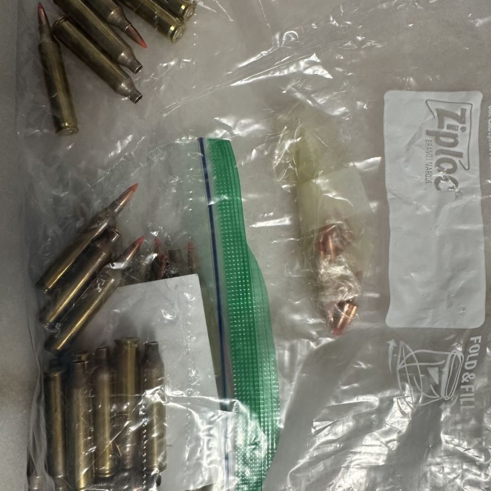 Image 5 - KAK 17.556 Barrel, dies, ammo