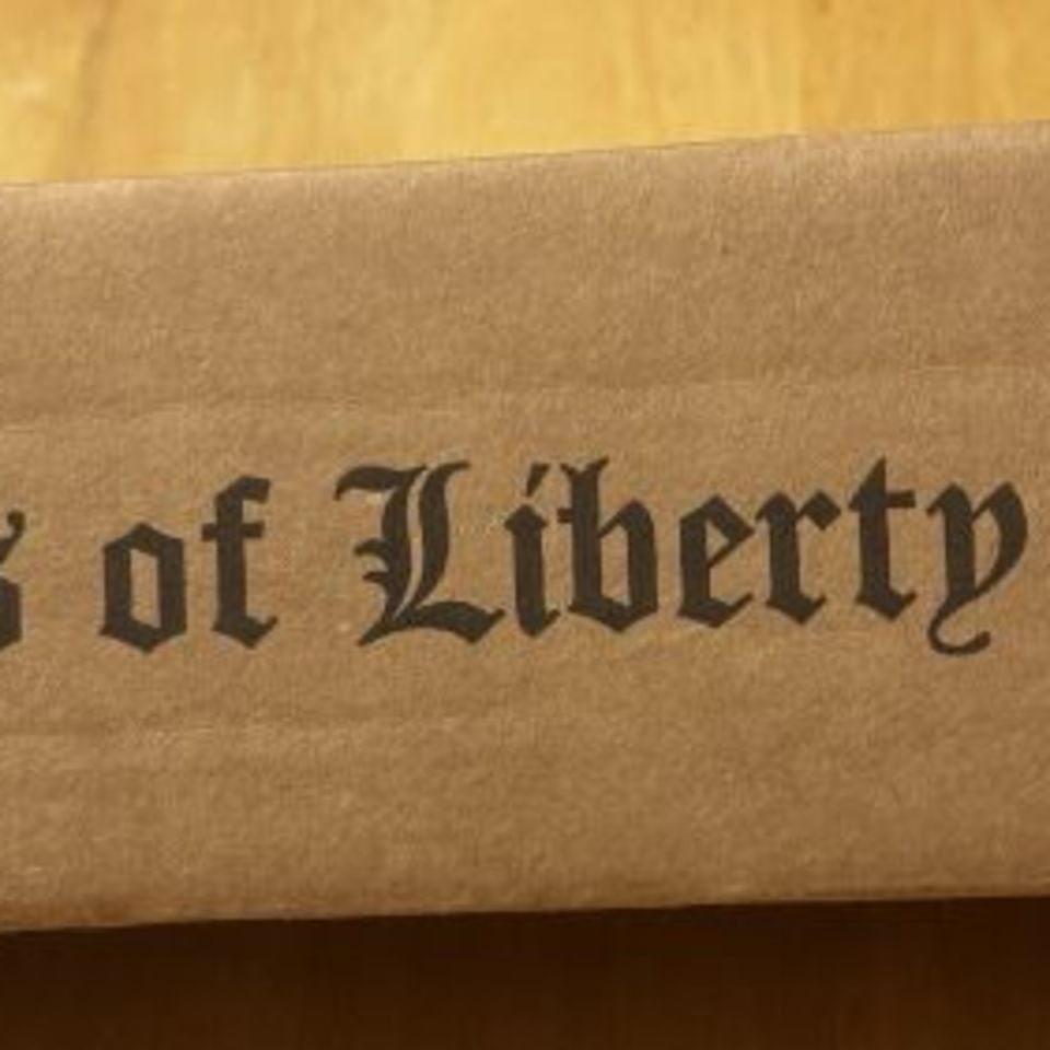 Image 5 - SOLGW M89 Heavy Rail 