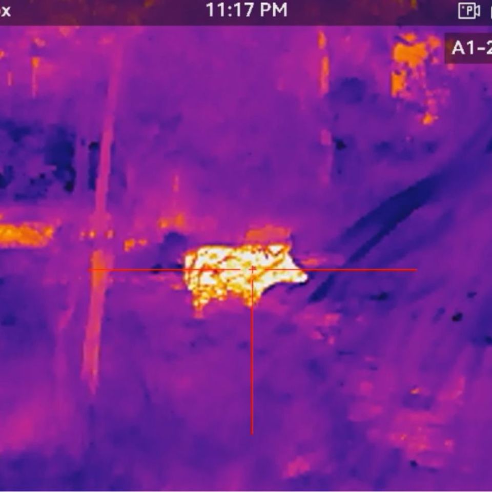 Image 1 - AGM Rattler V2 19-256