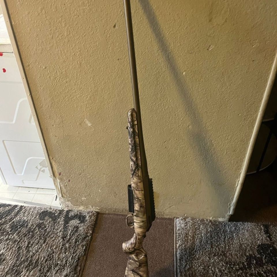 Image 2 - Ruger American 300 win mag