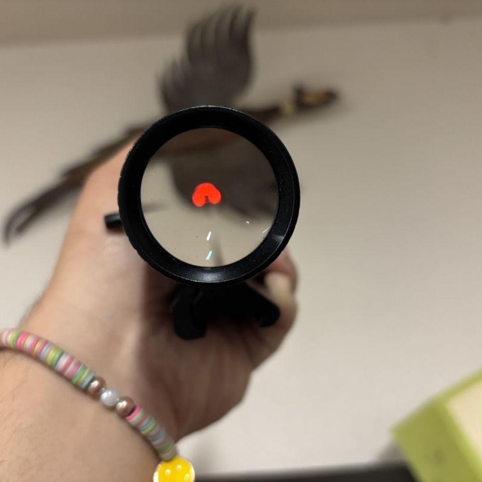 Image 2 - Strike Eagle 1-8 with mount