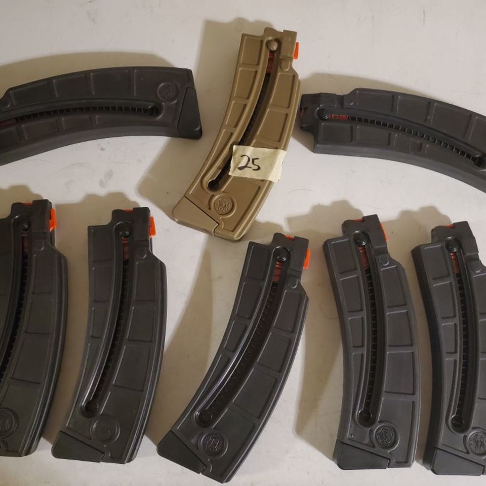 Image 2 - Smith & Wesson M&P 15-22 .22LR