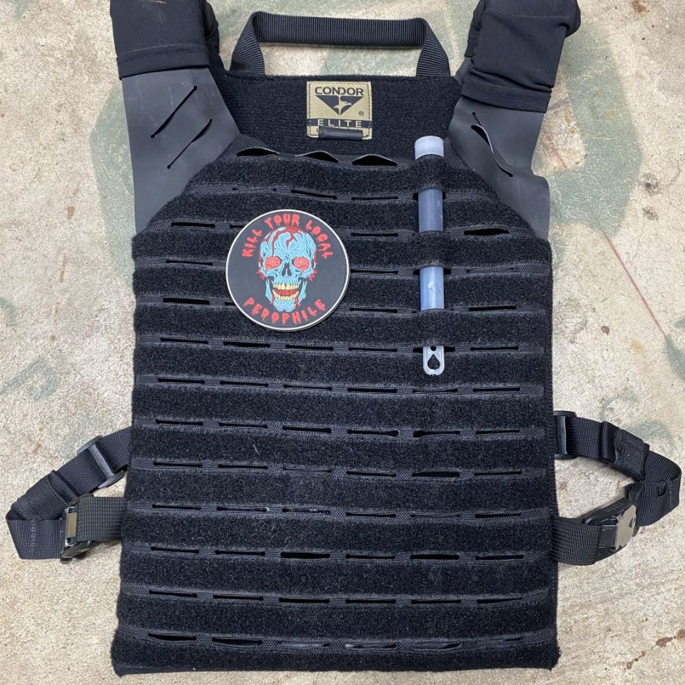 Image 1 - Condor Elite plate carrier