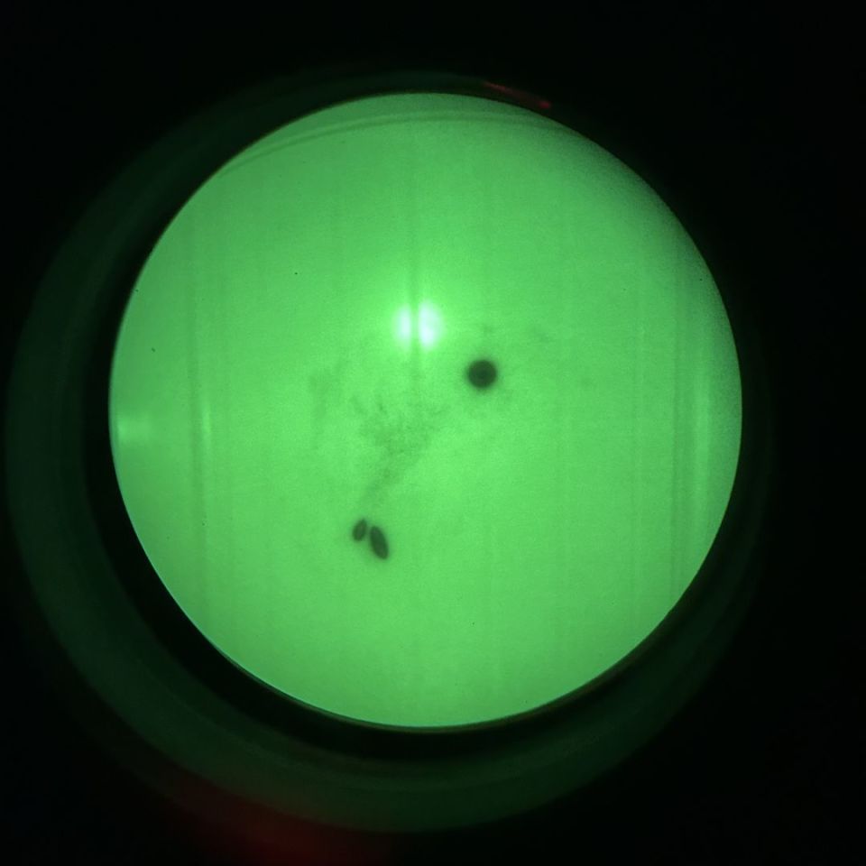 Image 3 - Blem PVS-14