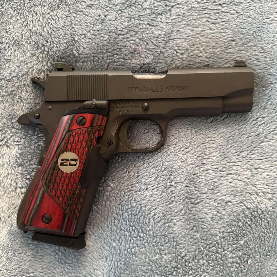 Image 2 - Springfield Champion 45 laser