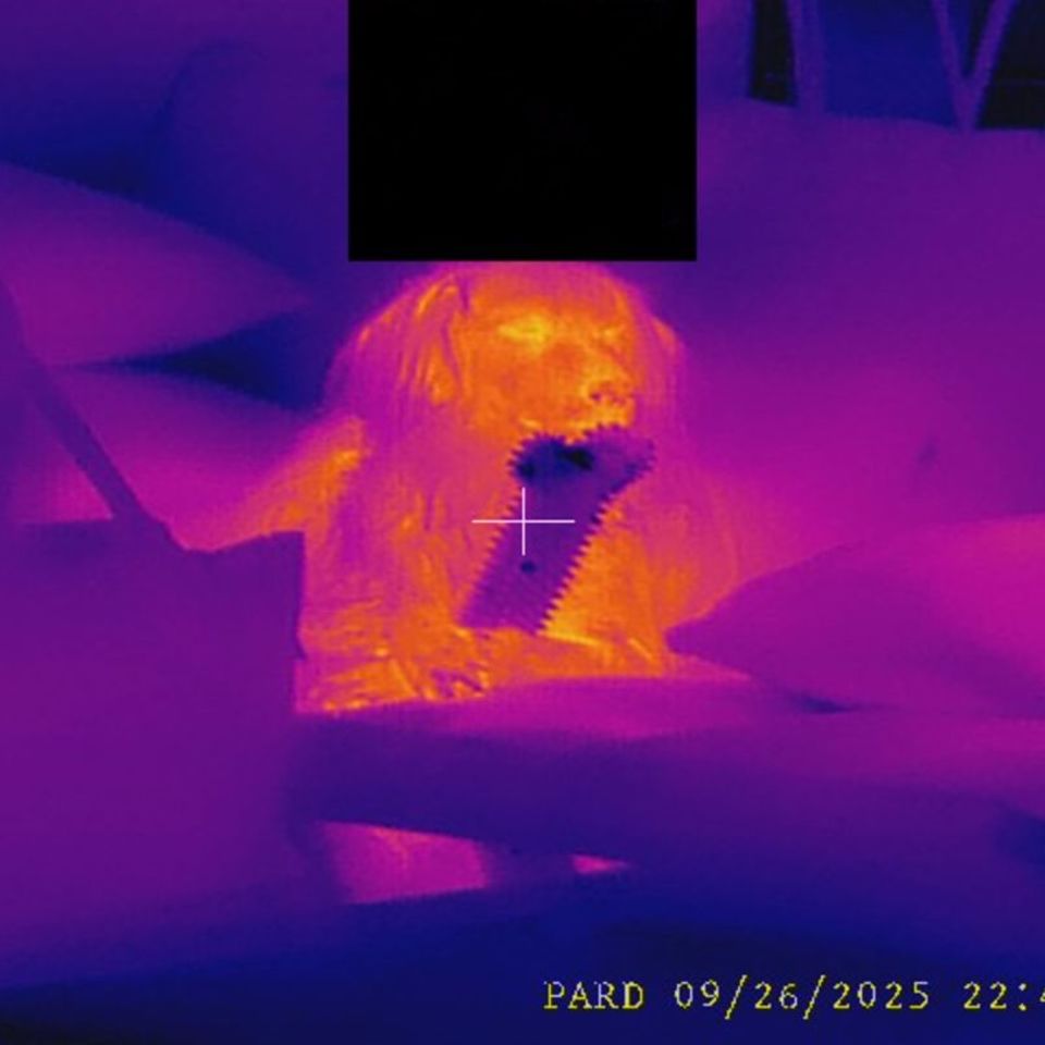 Image 4 - PARD Landsat 480 Thermal/NV