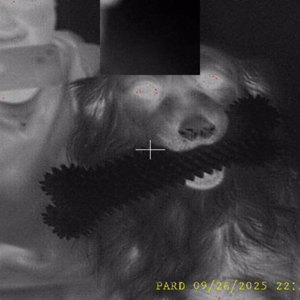 Image 3 - PARD Landsat 480 Thermal/NV