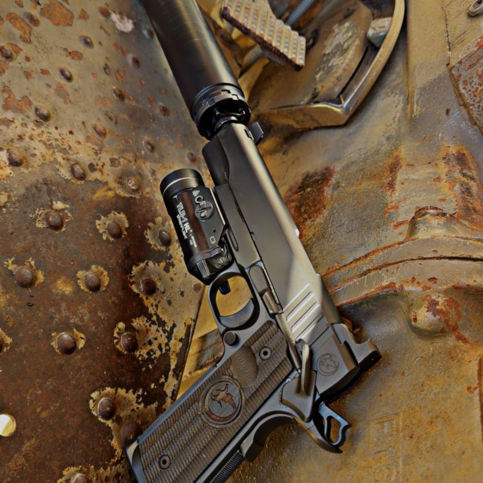 Image 1 - Nighthawk Custom Trooper