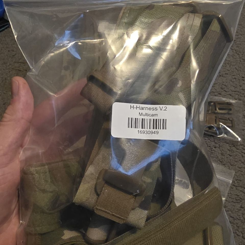 Image 2 - Carcajou Tactical V2 chest rig